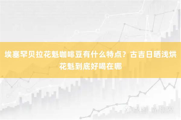 埃塞罕贝拉花魁咖啡豆有什么特点？古吉日晒浅烘花魁到底好喝在哪